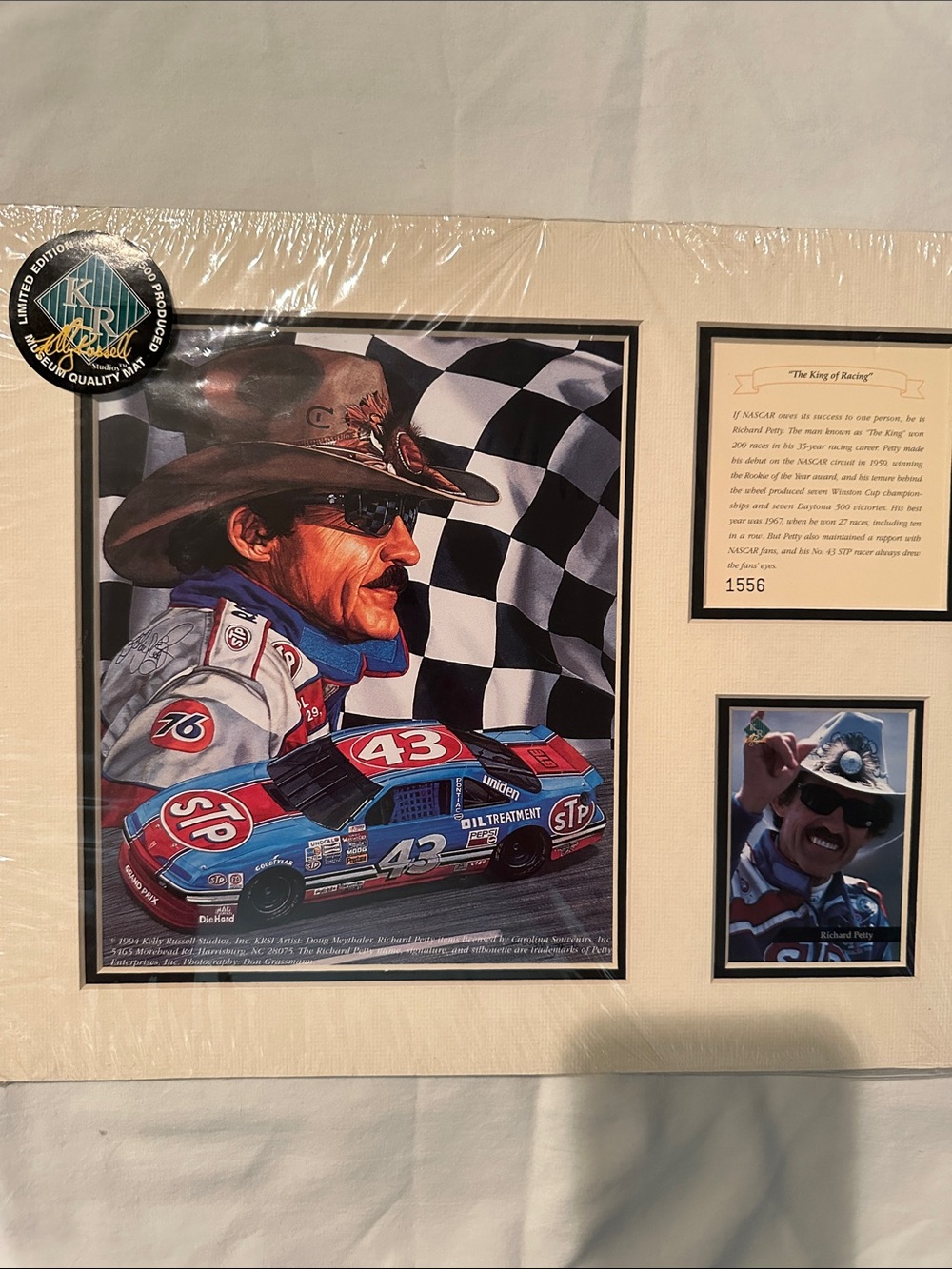 Richard Petty Limited Edition Racing Collectible Print